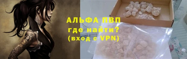 стафф Алексин