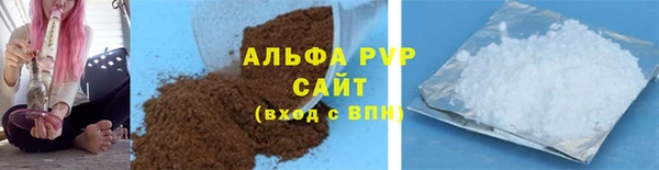стафф Алексин