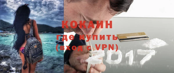 стафф Алексин